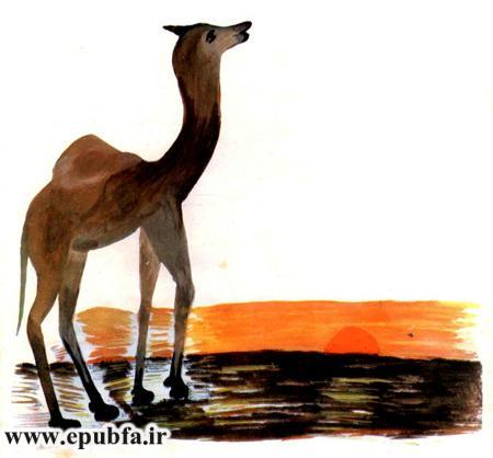 مجموعه شعر کودکانه قدیمی: باغ وحش برای بچهها / آموزش نام حیوانات به کودکان 12